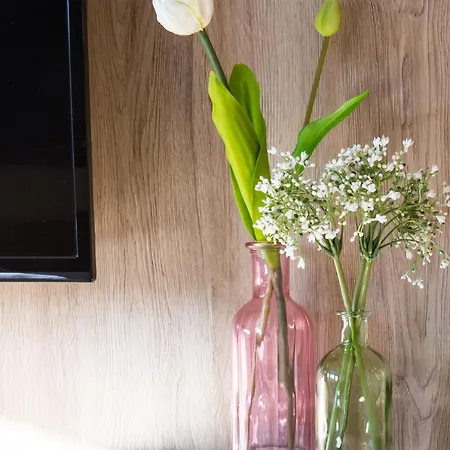 Wilms מלון קלן