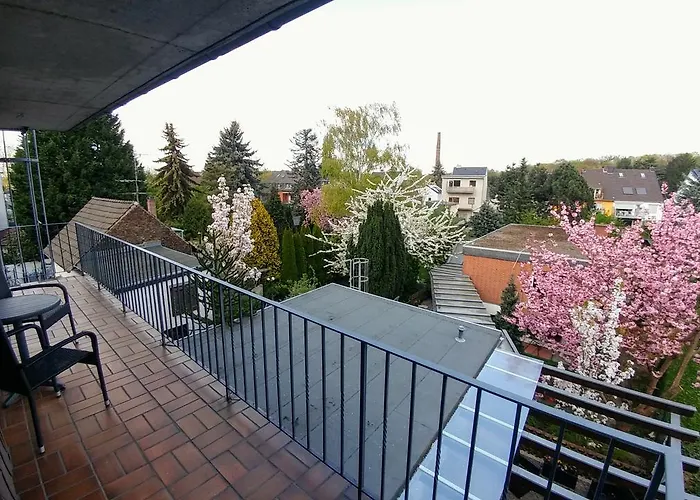 Hotel Wilms 2*