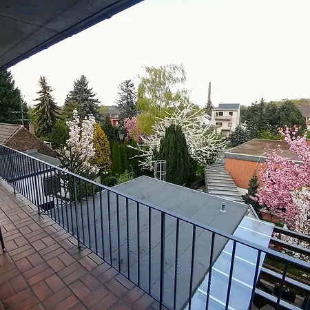 Szálloda Wilms 2*